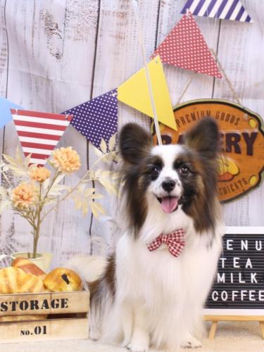 20240923マリーちゃん